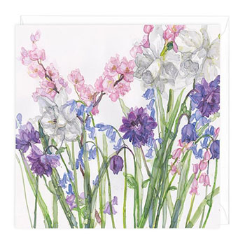 Card Narcissus And Bluebells